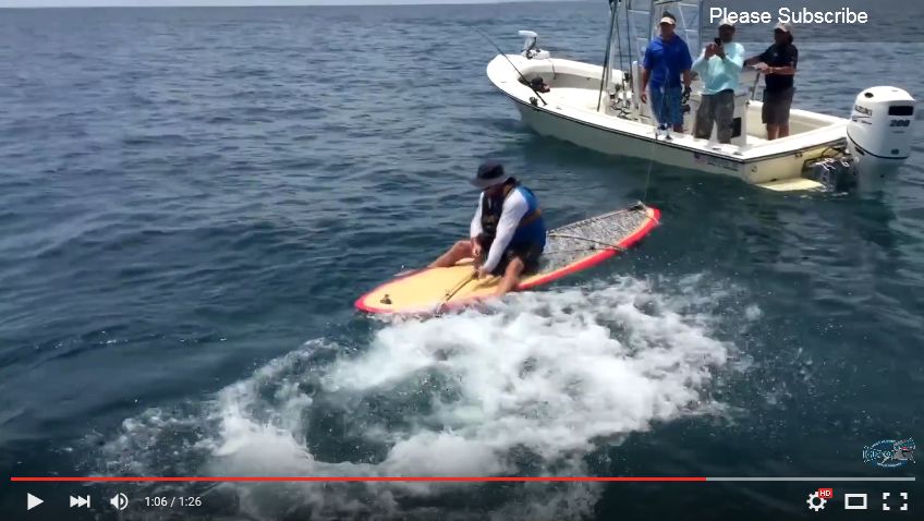 Giant grouper caught on a stand up paddle board (video)